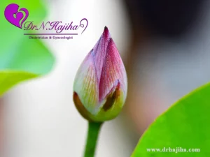 انواع متد جراحی زیبایی واژن